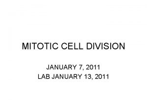 MITOTIC CELL DIVISION JANUARY 7 2011 LAB JANUARY