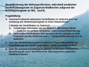 Quantifizierung der tiefenspezifischen mikrobiell mediierten Denitrifizierungsrate im ZugerseeSdbecken