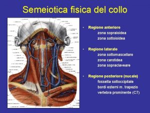Semeiotica fisica del collo Regione anteriore zona sopraioidea