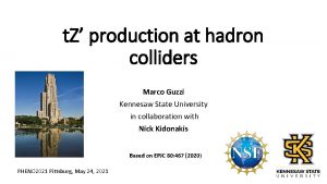 t Z production at hadron colliders Marco Guzzi