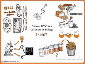 Edexcel GCSE Key Concepts in Biology Think IT