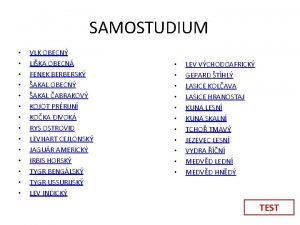 SAMOSTUDIUM VLK OBECN LIKA OBECN FENEK BERBERSK AKAL