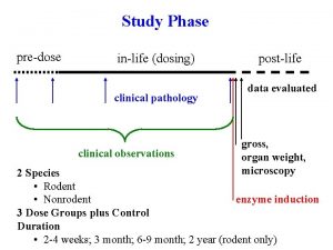 Study Phase predose inlife dosing clinical pathology clinical