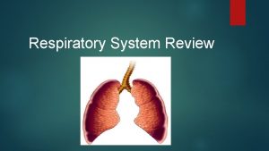 Respiratory System Review What is the main passageway