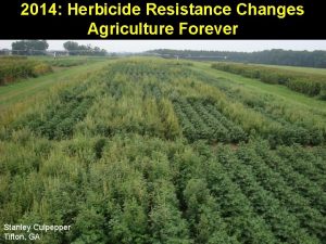 2014 Herbicide Resistance Changes Agriculture Forever Stanley Culpepper