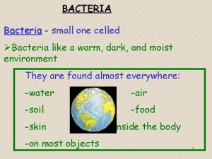 BACTERIA Bacteria small one celled Bacteria like a