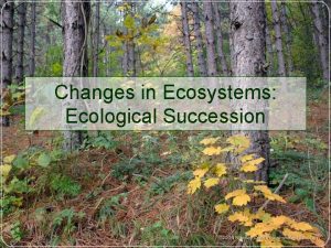 Changes in Ecosystems Ecological Succession Ecological Succession Definition