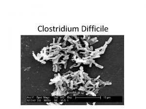 Clostridium Difficile C Diff Epidemiology C difficile infections