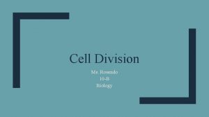 Cell Division Ms Rosendo 10 B Biology Objetive