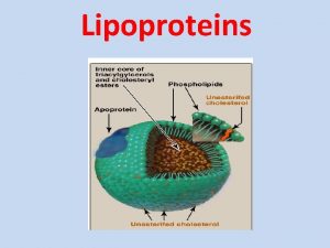 Lipoproteins Plasma lipoproteins Lipoproteins function in the body