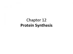 Chapter 12 Protein Synthesis Central Dogma DNA RNA