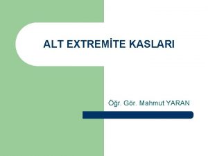 ALT EXTREMTE KASLARI r Gr Mahmut YARAN GLUTEAL