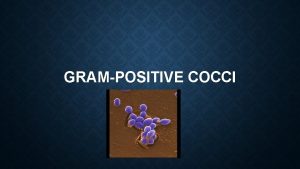 GRAMPOSITIVE COCCI There are two medically important genera