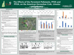 The Effects of the Persistent Pollutants PFOS and