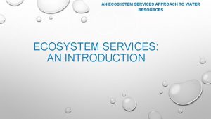 AN ECOSYSTEM SERVICES APPROACH TO WATER RESOURCES ECOSYSTEM