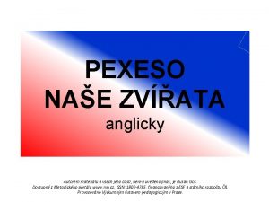 PEXESO NAE ZVATA anglicky Autorem materilu a vech