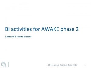 BI activities for AWAKE phase 2 S Mazzoni