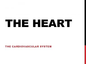 THE HEART THE CARDIOVASCULAR SYSTEM HEART CHAMBERS Atria