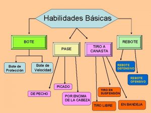 Habilidades Bsicas BOTE REBOTE PASE Bote de Proteccin