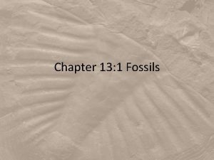 Chapter 13 1 Fossils A Paleontologists scientists who