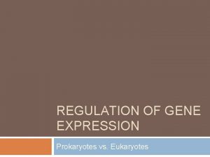 REGULATION OF GENE EXPRESSION Prokaryotes vs Eukaryotes Gene