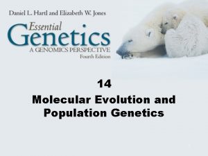 14 Molecular Evolution and Population Genetics 1 Molecular