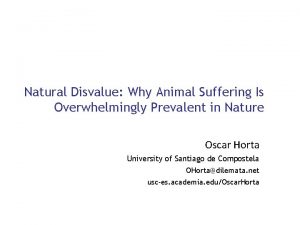 Natural Disvalue Why Animal Suffering Is Overwhelmingly Prevalent