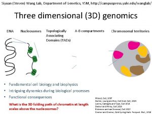 Siyuan Steven Wang Lab Department of Genetics YSM