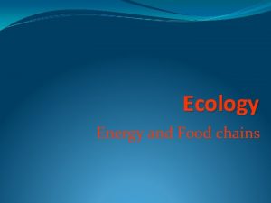 Ecology Energy and Food chains Energy Flow in