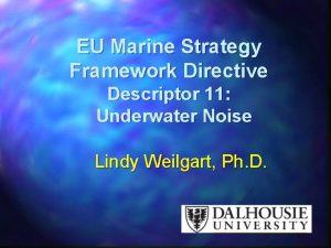 EU Marine Strategy Framework Directive Descriptor 11 Underwater