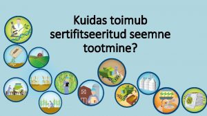 Kuidas toimub sertifitseeritud seemne tootmine Sordiaretus Sordiaretajad tegelevad