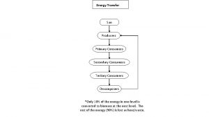 Energy Transfer Sun Producers Primary Consumers Secondary Consumers