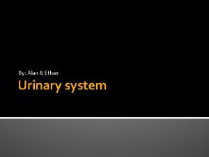 By Alan Ethan Urinary system Function The urinary