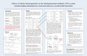 Effects of tubular inhomogeneities on the tubuloglomerular feedback