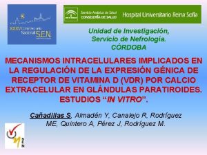 Unidad de Investigacin Servicio de Nefrologa CRDOBA MECANISMOS