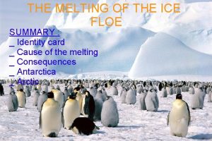 THE MELTING OF THE ICE FLOE SUMMARY Identity