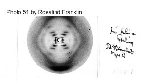 Photo 51 by Rosalind Franklin DNA Structure Replication