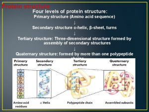 Protein structure Four levels of protein structure Primary