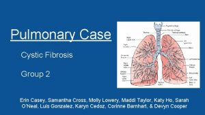 Pulmonary Case Cystic Fibrosis Group 2 Erin Casey