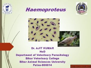 Haemoproteus Dr AJIT KUMAR Ho D Department of