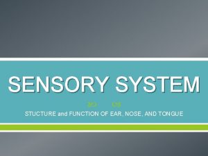 SENSORY SYSTEM STUCTURE and FUNCTION OF EAR NOSE
