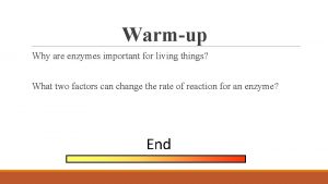 Warmup Why are enzymes important for living things