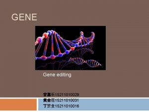 GENE Gene editing 15211010029 15211010031 15211010016 Gene editingcrispr