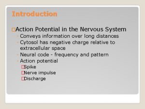 Introduction Action Potential in the Nervous System Conveys