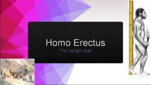 Homo Erectus The Upright Man Table Of Contents