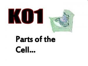 Parts of the Cell K 01 Parts of