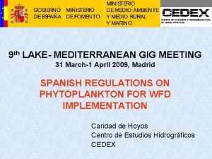 9 th LAKE MEDITERRANEAN GIG MEETING 31 March1