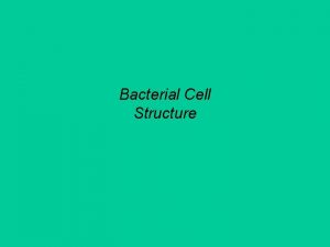 Bacterial Cell Structure Cell Walls Cell wall is