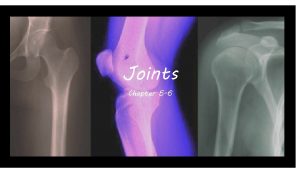 Joints Chapter 5 6 Joints Articulation sites where