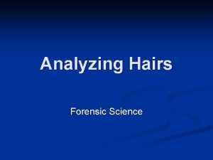 Analyzing Hairs Forensic Science Morphology of Hair n